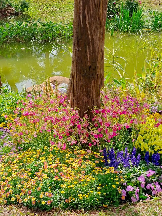 誤入油畫般的河畔花園