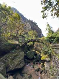 武夷山2日遊 探秘自然山水 美到驚艷