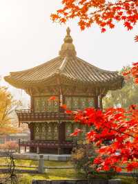 5天赴韓國 帶你愛上獨特風情
