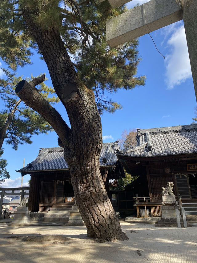 閒逛三河三谷