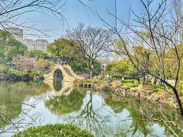 清代吾邑園林之首｜太倉南園