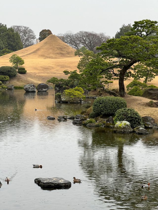 小長假遊日本 看這篇攻略就夠了