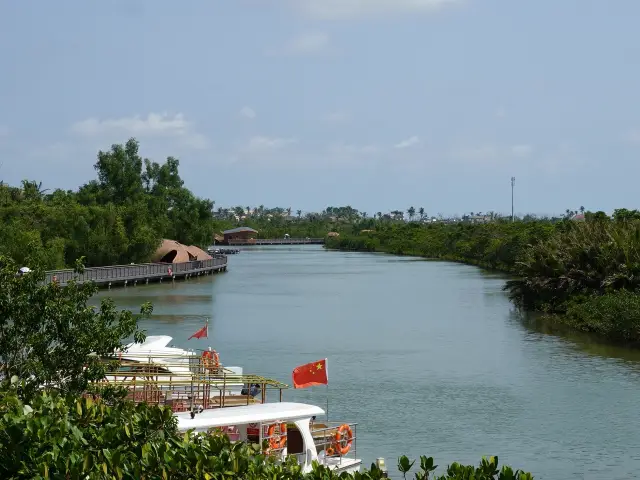 Visiting the Dongzhaigang Mangrove Forest