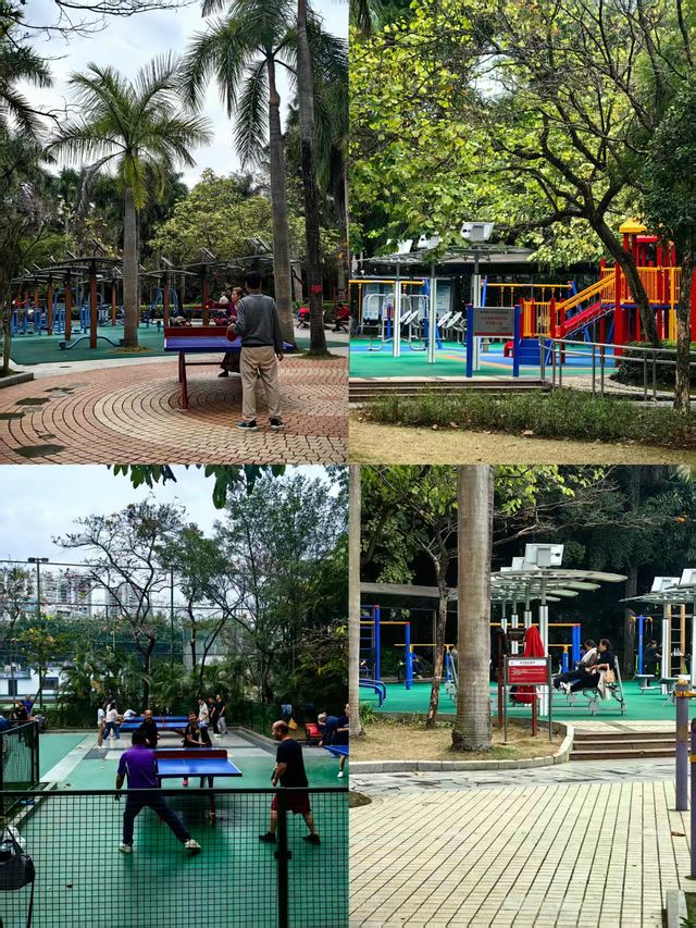 南寧寶藏小眾0元公園｜金花茶公園