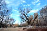 瀋水灣公園遊玩
