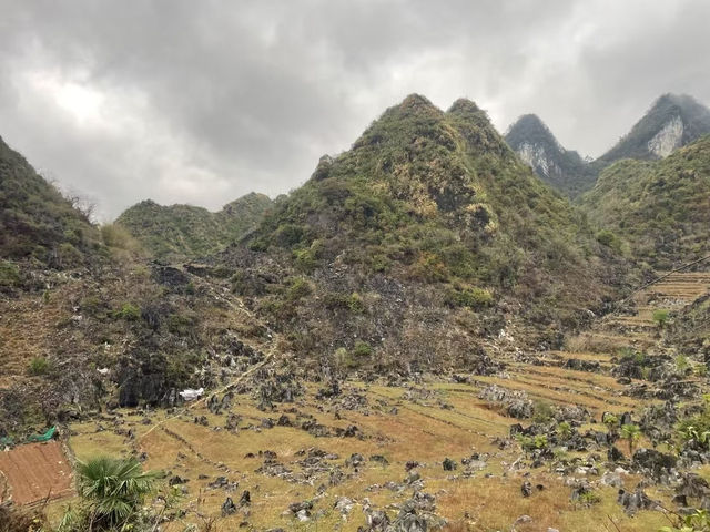 🏞️陽山秦漢古道體驗攻略：穿越歷史，探尋自然之美👣