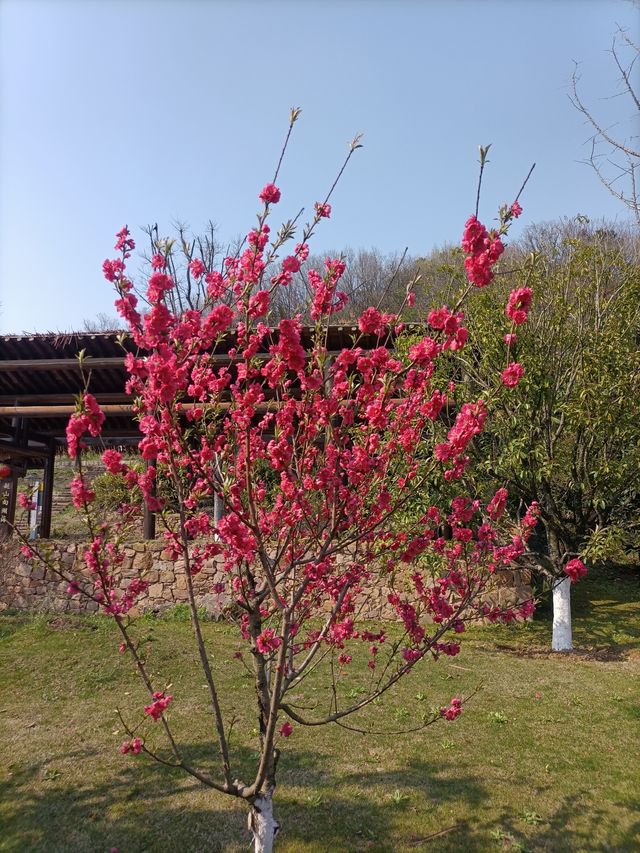 轉水塢金九小道環線徒步：湖光山色中的秘境探險（二）