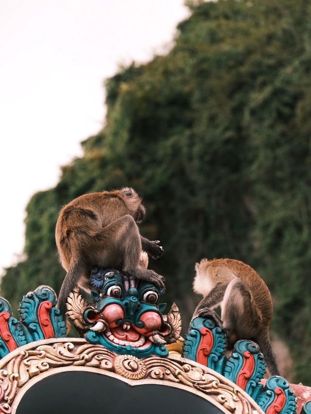免簽新馬連遊 說走就走的旅行聖地