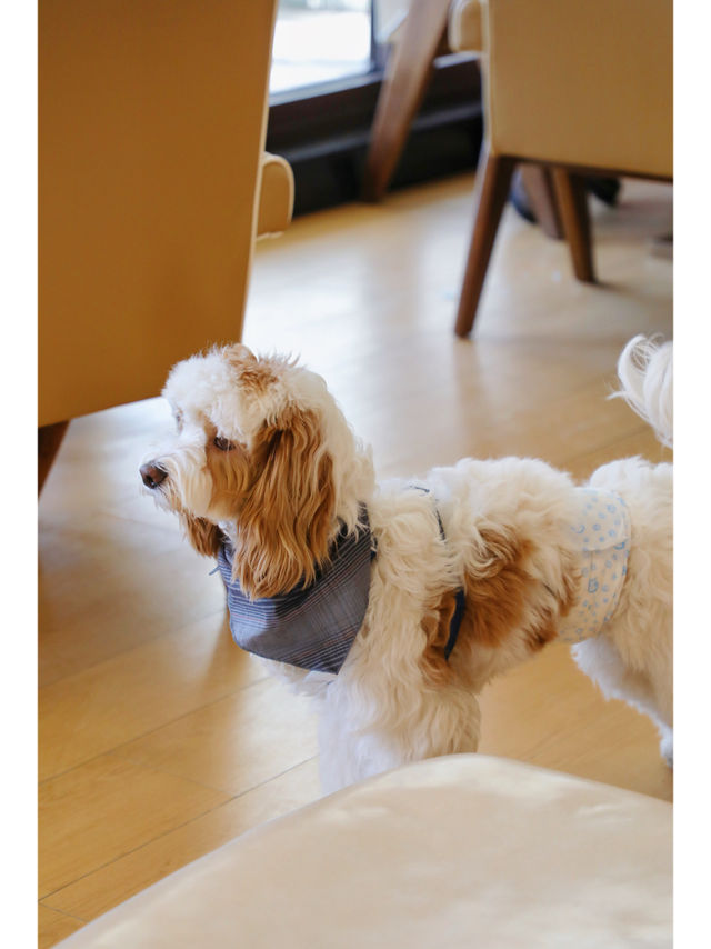 青島旅行 | 無愧於青島TOP前三的咖啡店稱號 青島旅行 | 無愧於青島TOP前三的咖啡店稱號