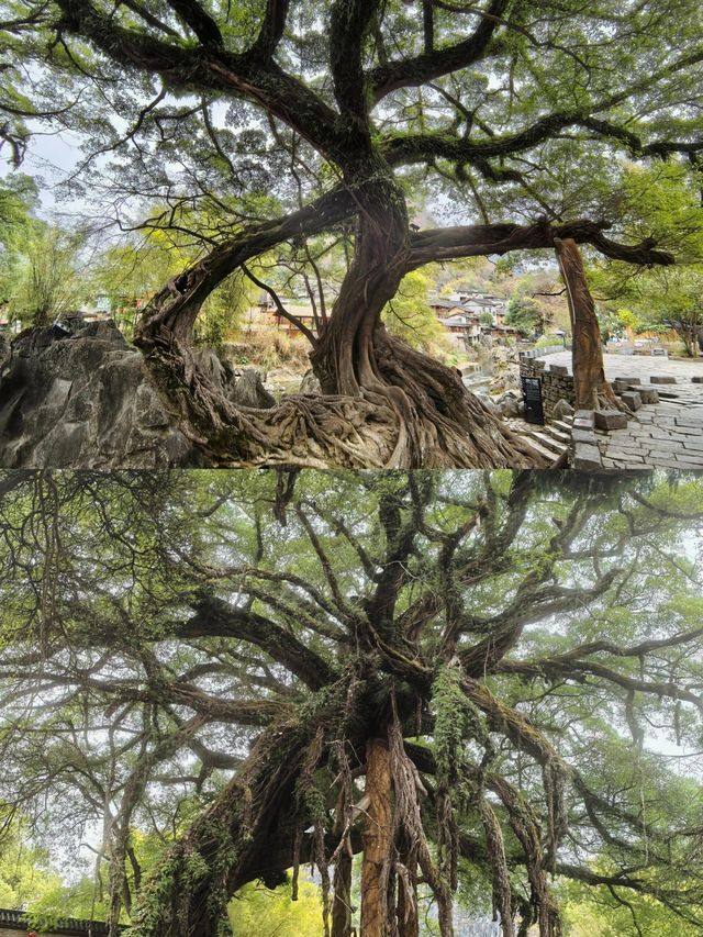 一定要去感受這座千年古城—黃姚古鎮！