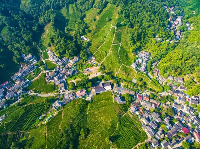 봄에 오르기 가장 좋은 산, 생각 없이 가도 좋아요...