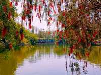 Tongshashengtai Park: Green and Fresh Meditation Land
