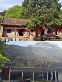 南陽|在樸素的山谷中邂逅了一場春和景明