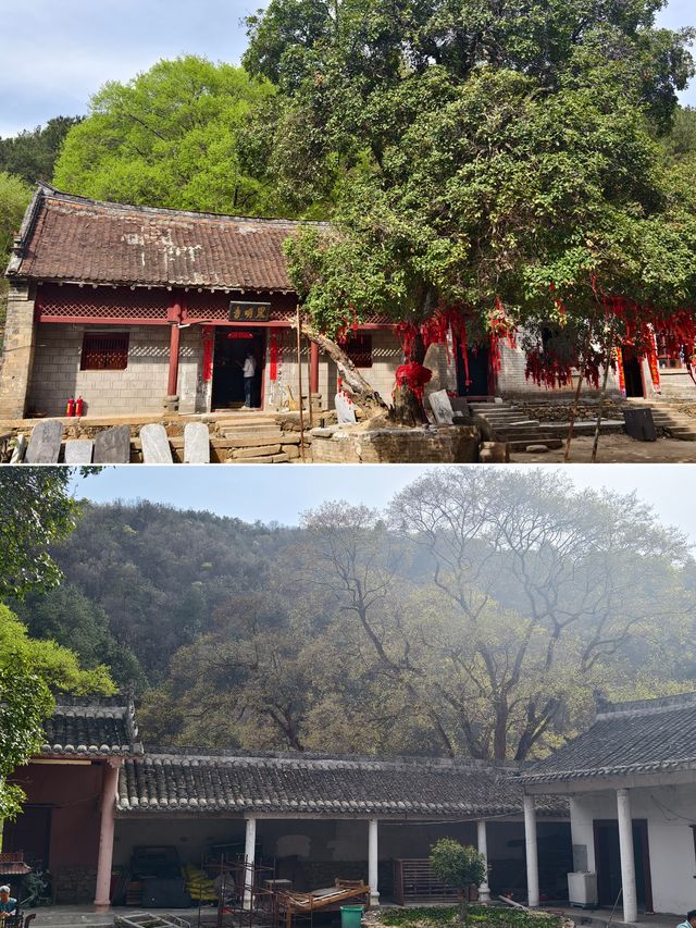 南陽|在樸素的山谷中邂逅了一場春和景明
