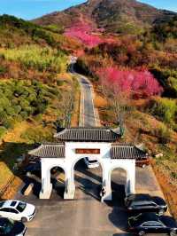 探索冶父山：追尋山林間的古韻遺風