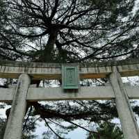 🌊｜🇯🇵福岡·元寇防壘-生之松原｜去無人的海邊