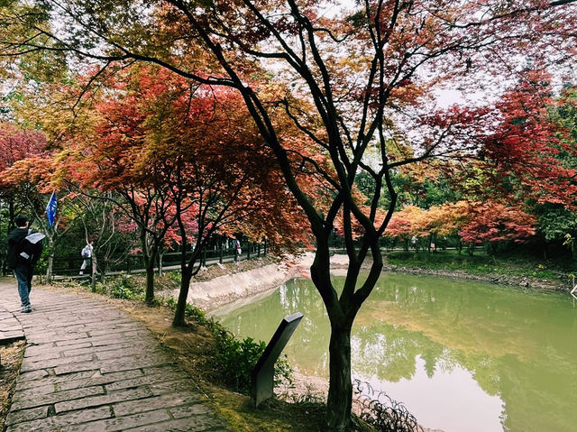 重慶市沙坪壩區著名文物保護區景點：虎風山、適合拍照打卡、週末閒暇度假地！ 