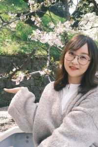東京千鳥之淵賞櫻之旅