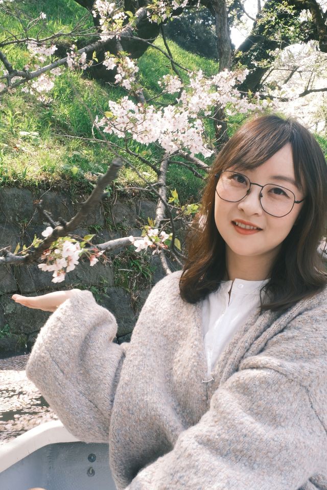 東京千鳥之淵賞櫻之旅