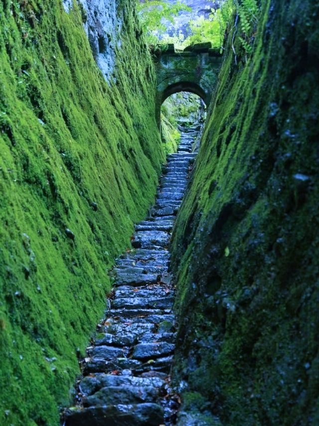 福建武夷山慳錢旅遊及避坑攻略