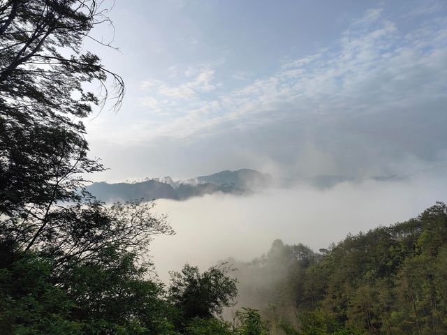 武夷山：丹霞碧水間的千年茶禪秘境