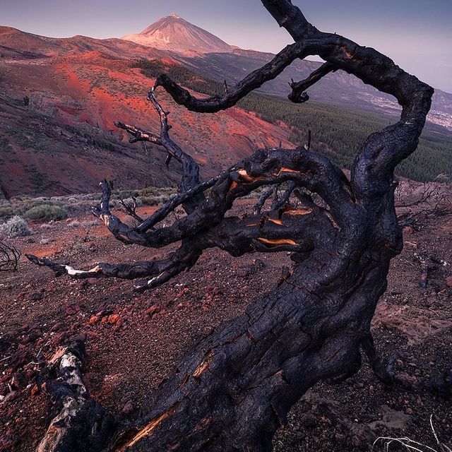 Canary Islands