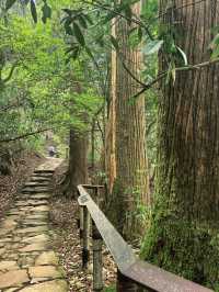 逃離城市•低能量旅行天目山度假攻略