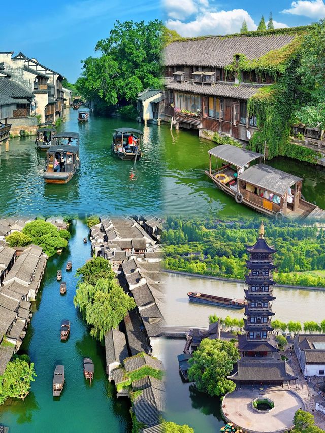 烏鎮 | 5-6月嚟烏鎮太浪漫！水鄉初夏詩意之旅