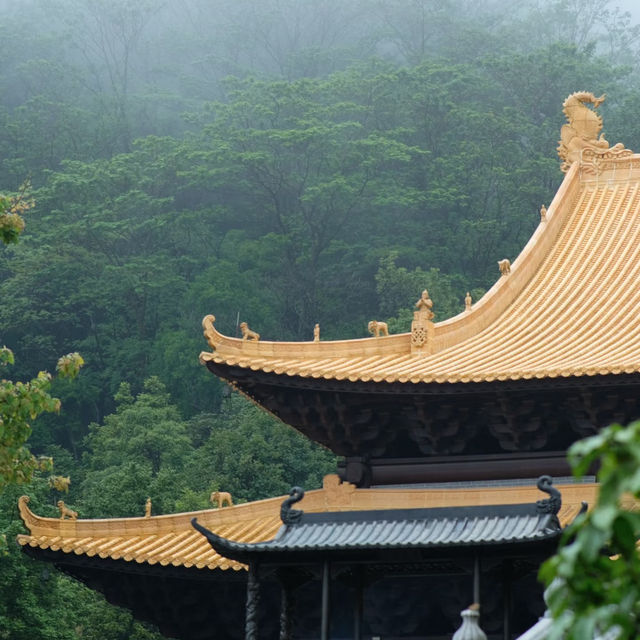 廣州秘境｜華峰寺：雨霧中的隱世禪境☔️