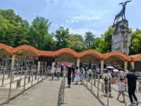 探秘蓉城野趣：成都動物園漫遊指南
