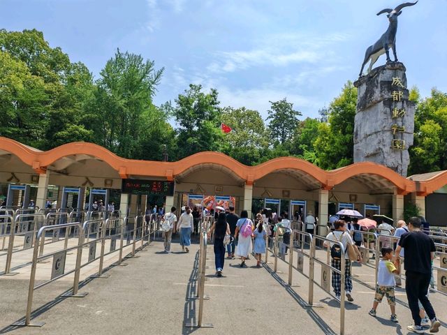 探秘蓉城野趣：成都動物園漫遊指南