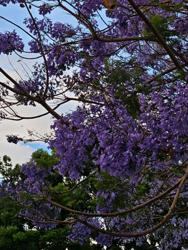 雲南滇池溫泉花園國際酒店