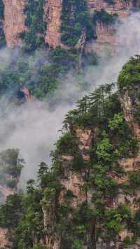 霧漫張家界：邂逅水墨仙境