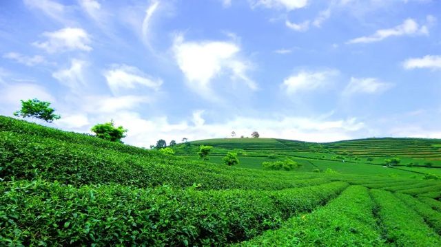 南寧休閒好去處 | 一場初夏的慢活之旅
