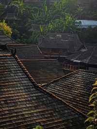 普洱帶娃修仙失敗！呢3個坑令我諗住承包咖啡園
