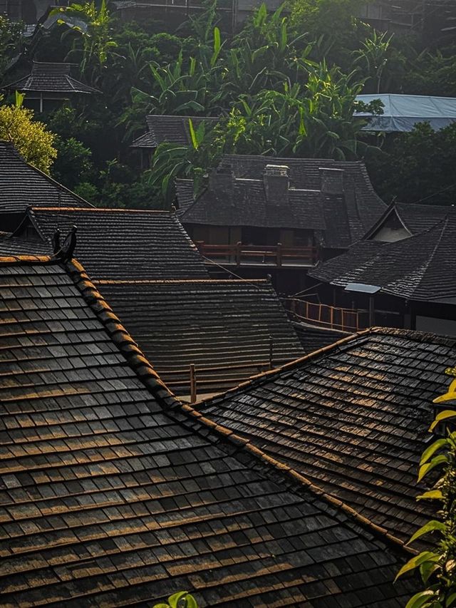 普洱帶娃修仙失敗！呢3個坑令我諗住承包咖啡園