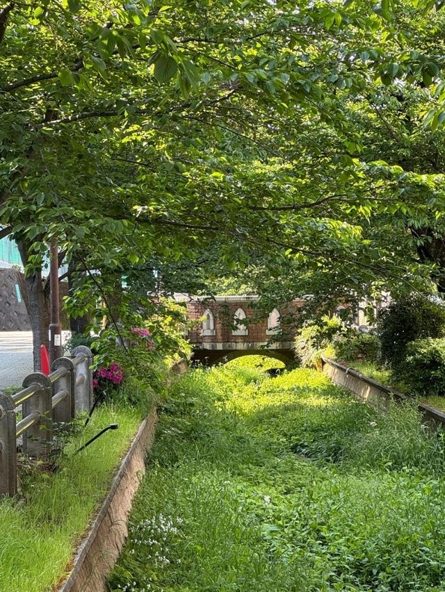 你知道嗎？東京有許多橫穿城市的超長綠道
