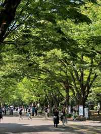 東京最適合運動的大公園，距離澀谷僅8分鐘