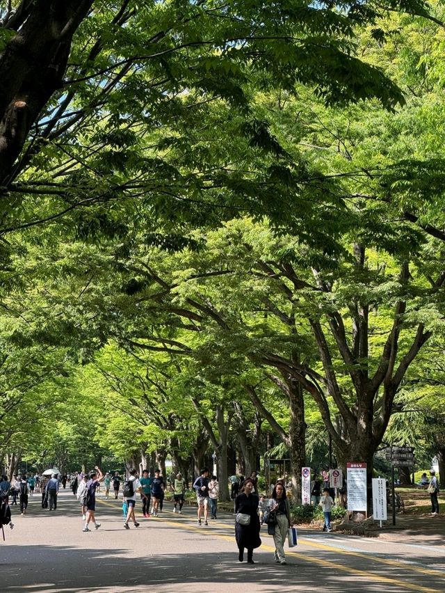 東京最適合運動的大公園，距離澀谷僅8分鐘