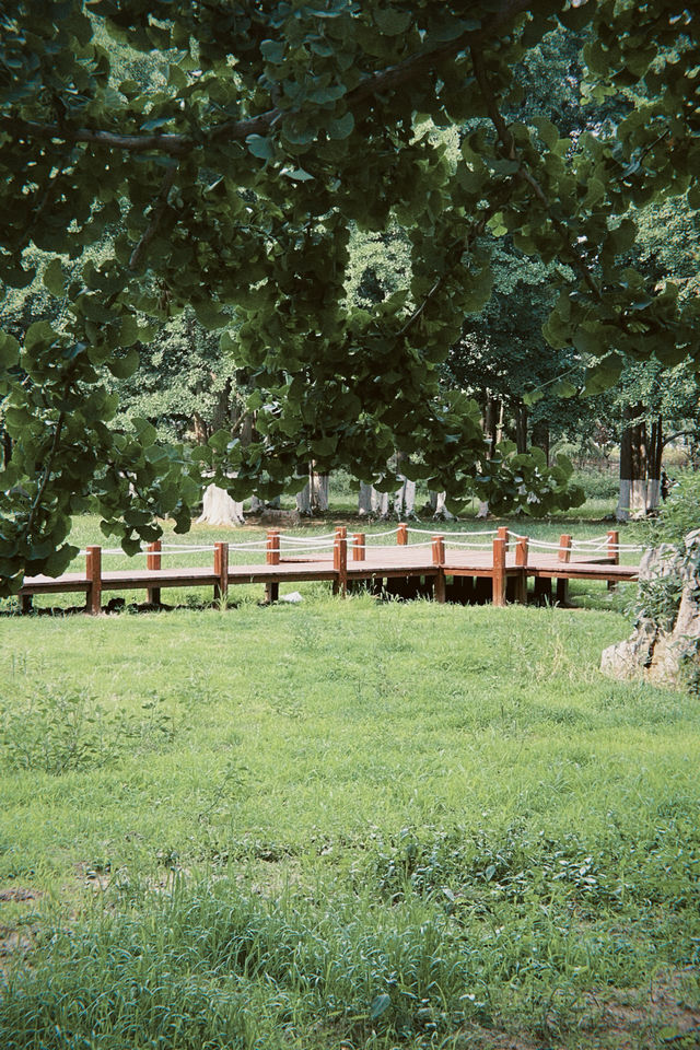 臨沂周邊週末遊：春夏嘅生生園靜謐生機