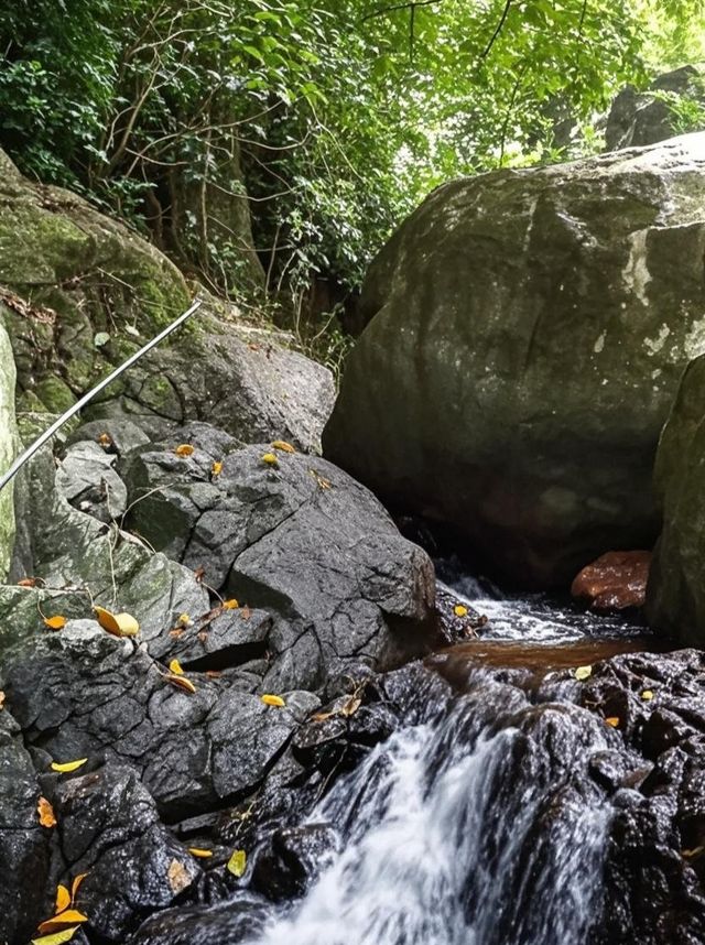 三亞避暑勝地——呀諾達