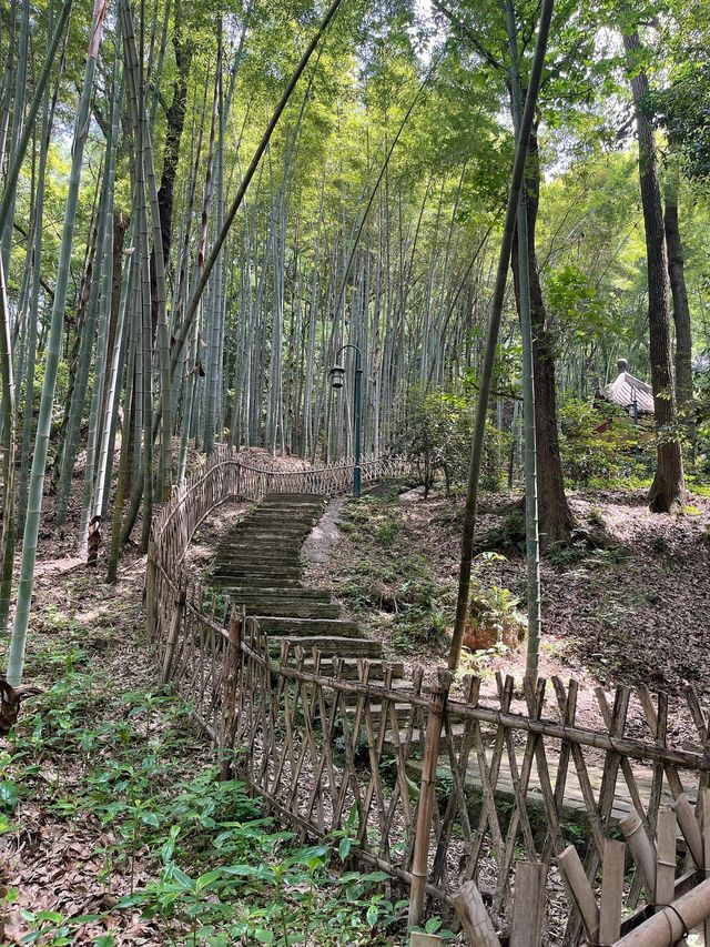 高鐵2h直達一個人散心窮遊低消費的五個城市