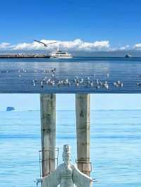 青海湖6月旅行全攻略 | 邂逅高原藍寶石與金黃花海