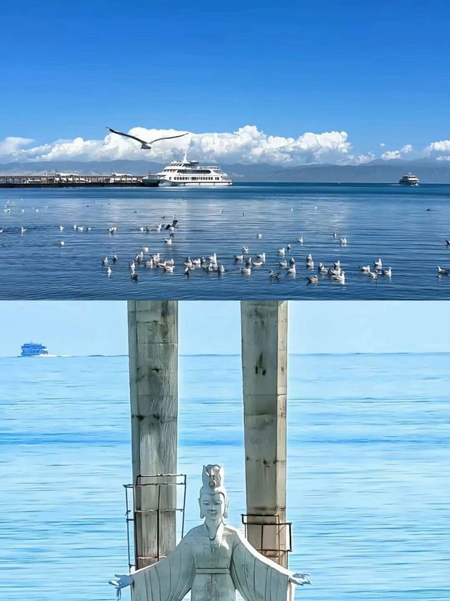 青海湖6月旅行全攻略 | 邂逅高原藍寶石與金黃花海