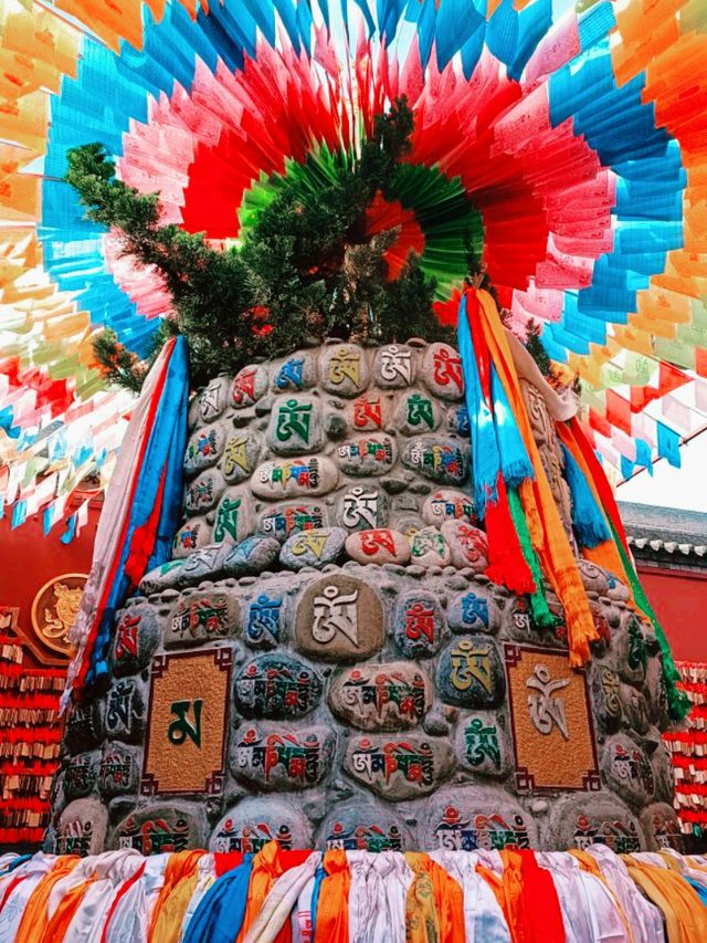 Beyond the Clouds: A Traveler’s Journey to Yaqing Temple’s Spiritual Solitude