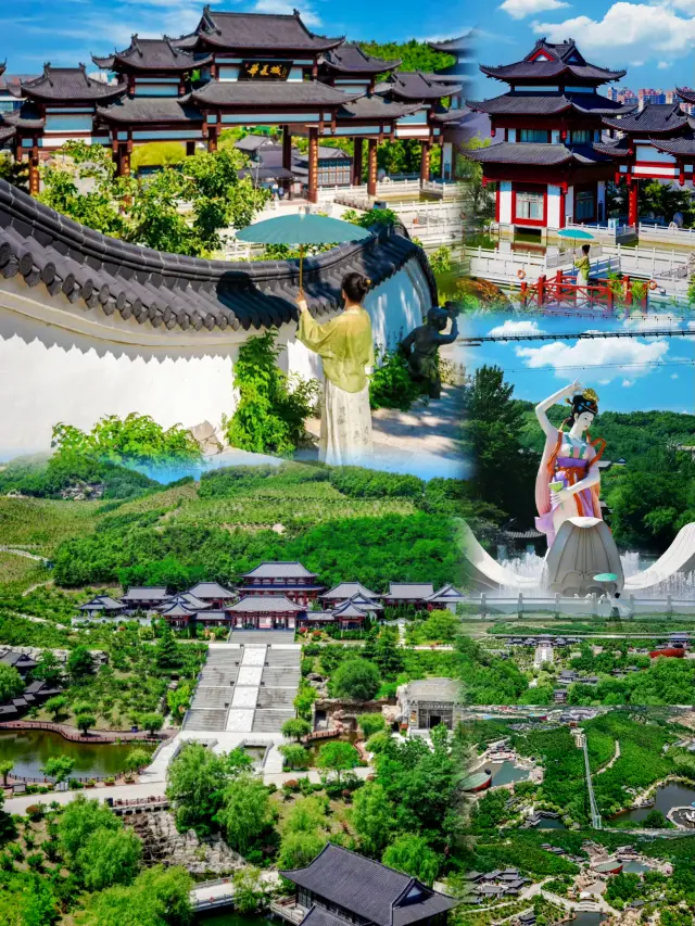 Shandong • Qingdao | Ultimate Family Travel Guide for Summer Graduation Season