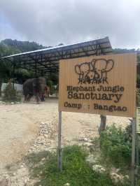 Beautiful Phuket, Paradise On A Budget! You Can Afford To Go Here ❤️ 💰 🏝️ 