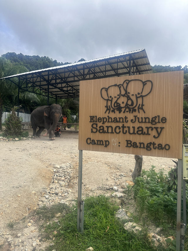 Beautiful Phuket, Paradise On A Budget! You Can Afford To Go Here ❤️ 💰 🏝️ 