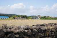 涯月邑喺玻璃咖啡館等一場橘子海日落