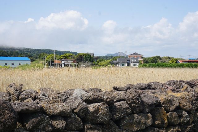 涯月邑喺玻璃咖啡館等一場橘子海日落